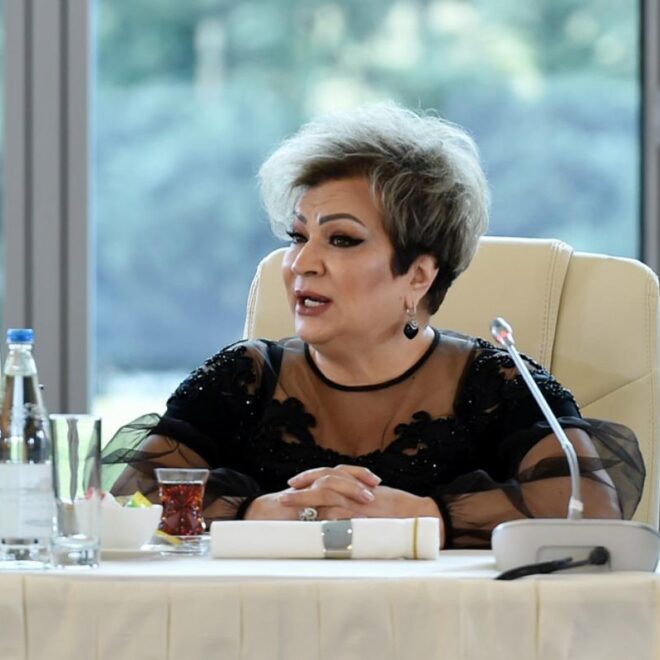 “Qeyrət sözü artıq simvolik olacaq” – Afaq Bəşirqızı