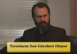 Olgun Şimşek yeni serialda rol alacaq