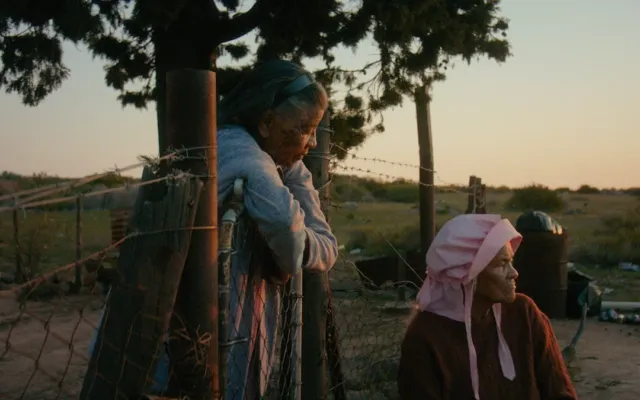 Cənubi Afrika filmi 'Variations on a Theme' Excel ilə yazılıb